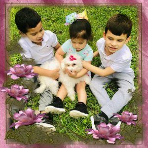 Meet your Posher, Estrada